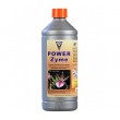 Power Zyme 1L - Hesi