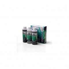 Tripack 750ml Orgánico - Wonderland - 2