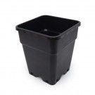 Maceta Cuadrada 5.5L (19x19x24cms) - Trabe - 1