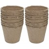 Maceta de Germinación Biodegradable 260cc - Expert Gardener