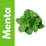 Semillas de Menta
