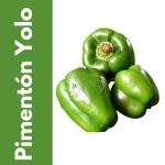 Semillas de Pimentón Yolo Wonder
