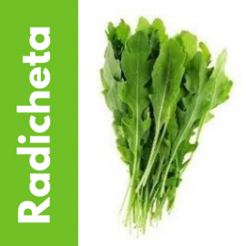 Semillas de Radicchio (Achicoria Roja) | Tricomar Growshop