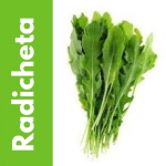 Semillas de Radicchio (Achicoria Roja)