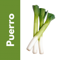 Semillas de Puerro | Tricomar Growshop