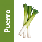 Semillas de Puerro