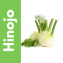Semillas de Hinojo | Tricomar Growshop