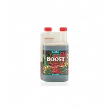 Boost Accelerator 1L - Canna