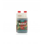 Boost Accelerator 1L - Canna