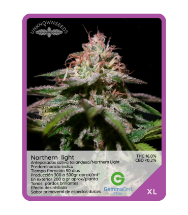 Semilla Northern Light F1 (x3) Unknown Seeds
