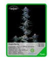 Stupid Berry (x3) - Unknown Seeds