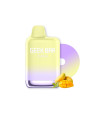 Meloso Mexico Mango 9000 Puffs - Geek Bar