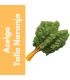 Semillas de Acelga Tallo Naranjo | Tricomar Growshop