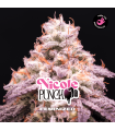 Nicole Punch FEM (x4) - BSF