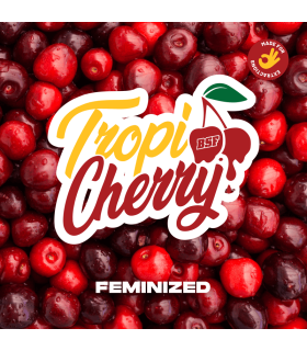 Tropi Cherry FEM (x4) - BSF