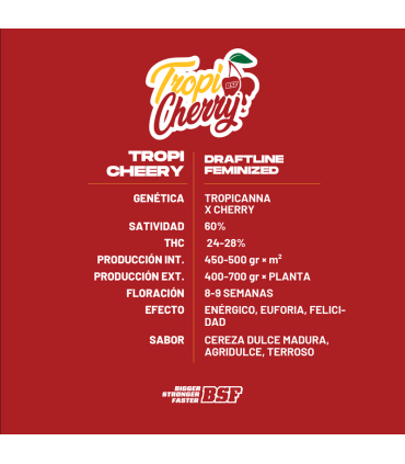 Semilla Tropi Cherry FEM (x4) - BSF | Bigger Stronger Faster