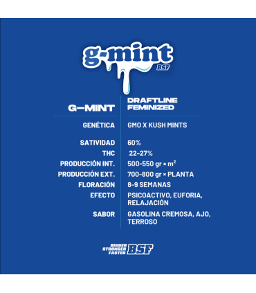 Semilla G-Mint FEM (x4) - BSF | Bigger Stronger Faster