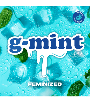 Semilla G-Mint FEM (x4) - BSF | Bigger Stronger Faster
