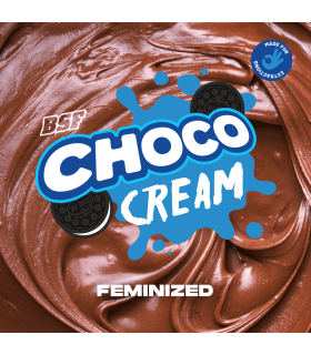 Choco Cream FEM (x4) - BSF
