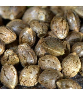 Fem Cookies - Granel