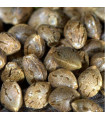 Fem Cookies - Granel