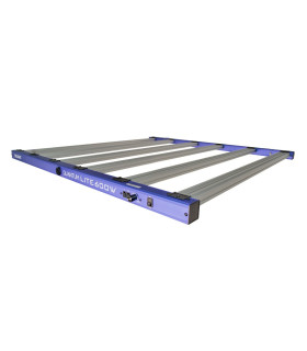 New Quantum Lite 600W - Delight