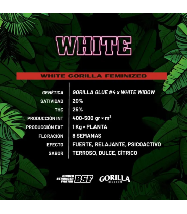 White Gorilla (x2) Fem - BSF