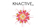 Knactive
