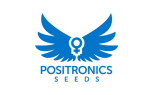 Positronics