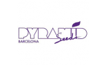 Pyramid Seeds